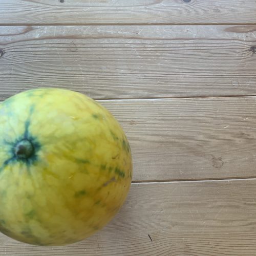 夏季休業のお知らせ