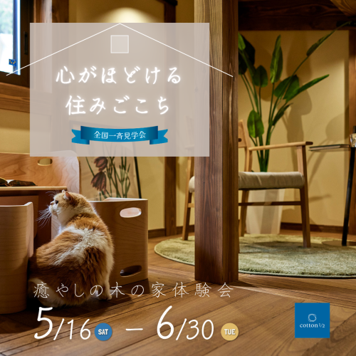 ～全国一斉見学会～